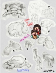 Sheridan Animation Zoo Sketches