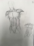 sheridan animation life drawing muscles